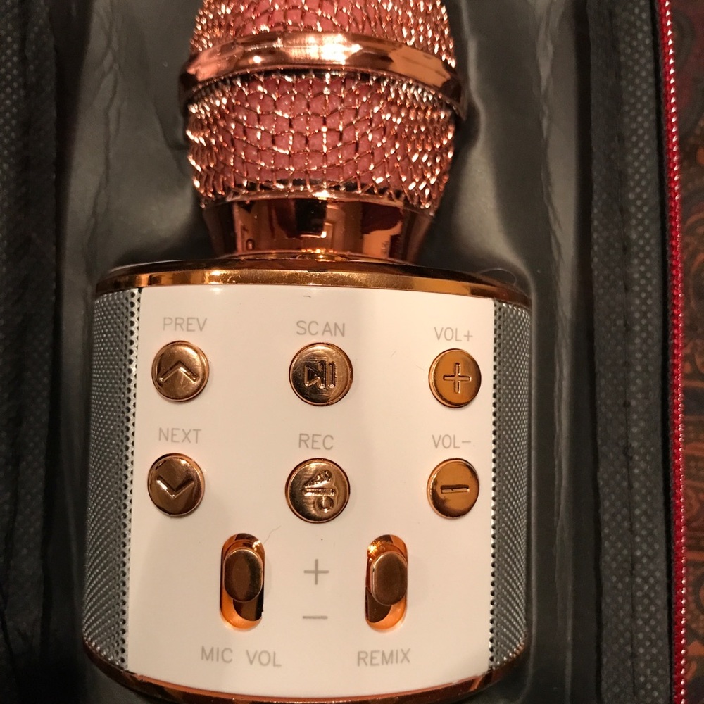 Karaoke Microphone